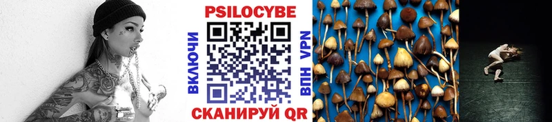 Псилоцибиновые грибы мицелий  где продают наркотики  Нягань 
